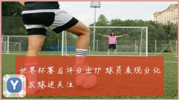 世界杯赛后评分出炉 球员表现分化引发球迷关注