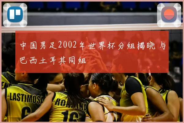 中国男足2002年世界杯分组揭晓 与巴西土耳其同组