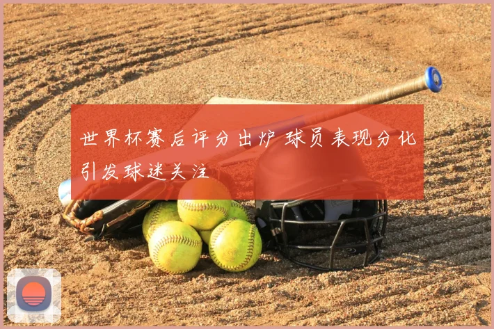 世界杯赛后评分出炉 球员表现分化引发球迷关注